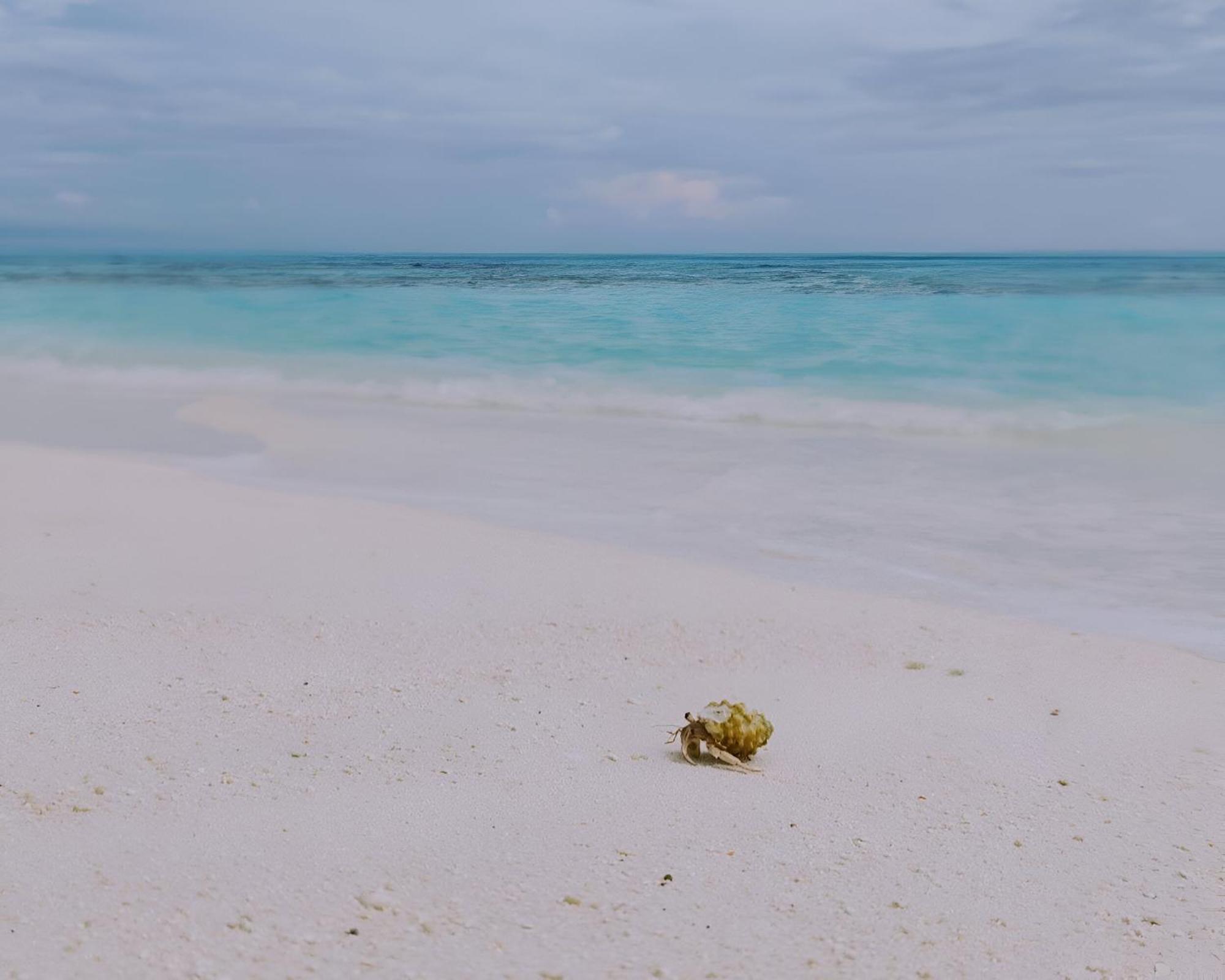 Bougan Villea Retreat Bodufolhudhoo Dış mekan fotoğraf
